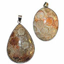 GCOFOC Pendentif Corail fossile